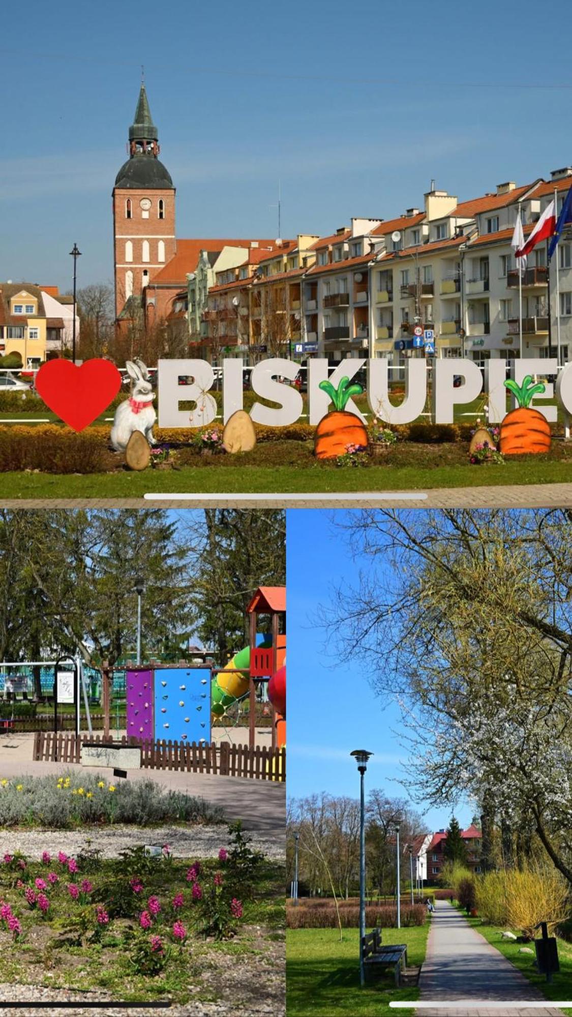 Apartament Cozy Corner Warminska Biskupiec (Olsztyn)